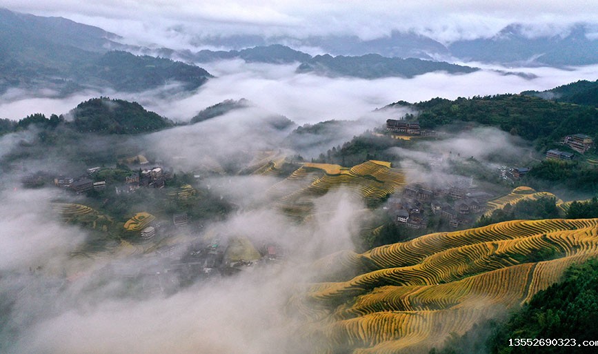 图为龙脊梯田云海景观。潘志祥摄