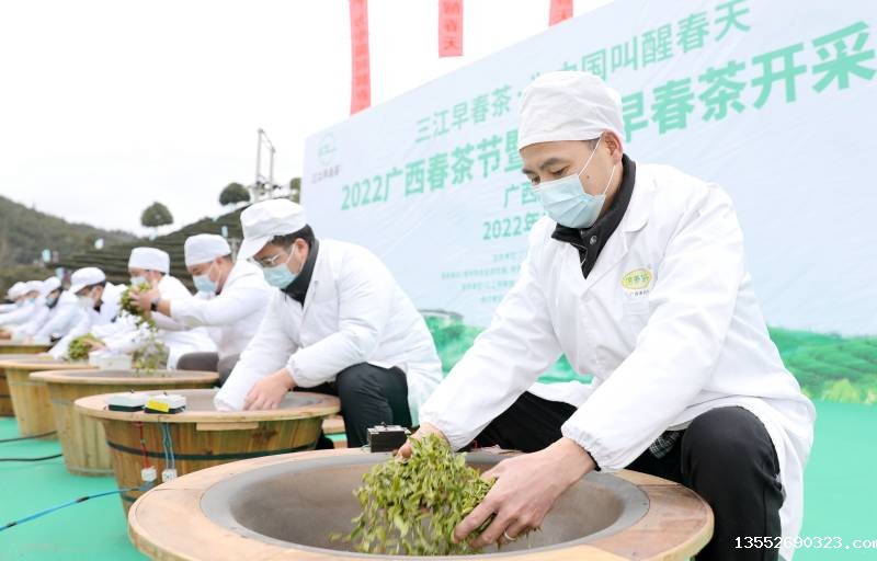 手工炒茶。龚普康摄