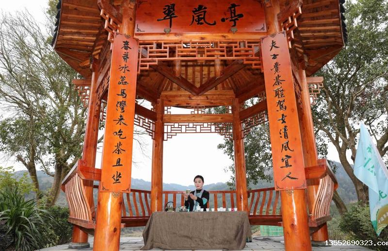 茶艺表演。龚普康摄