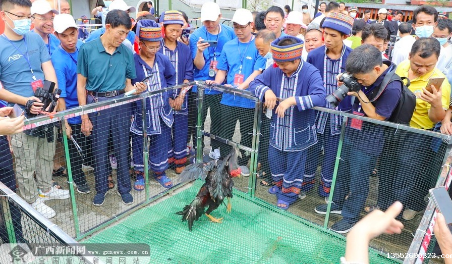 1656230015211625.png image.png