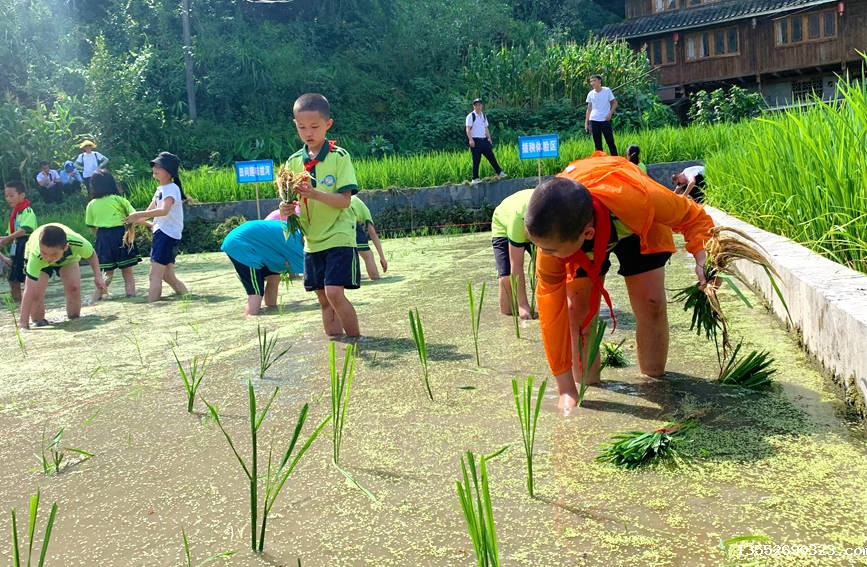 研学活动现场。