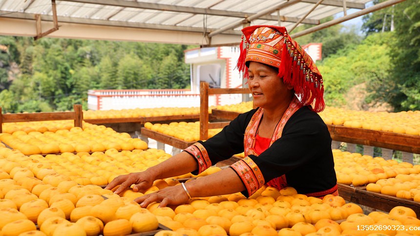 广西平乐：柿子喜丰收，柿饼甜如蜜