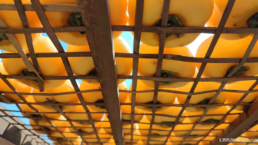 正在制作晾晒的柿饼。