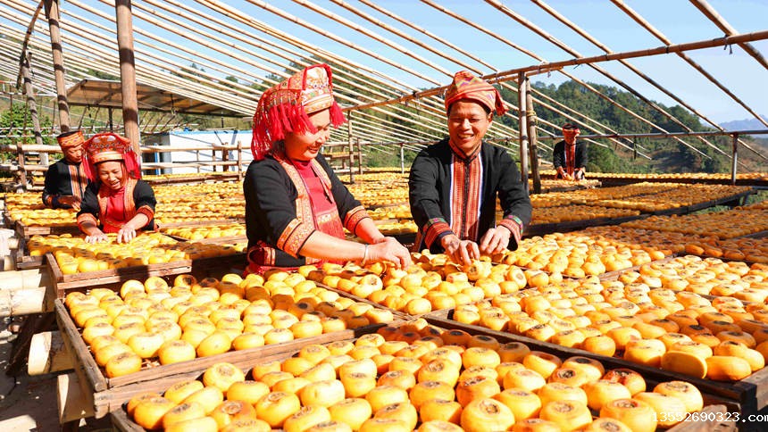 村民晾晒柿饼。