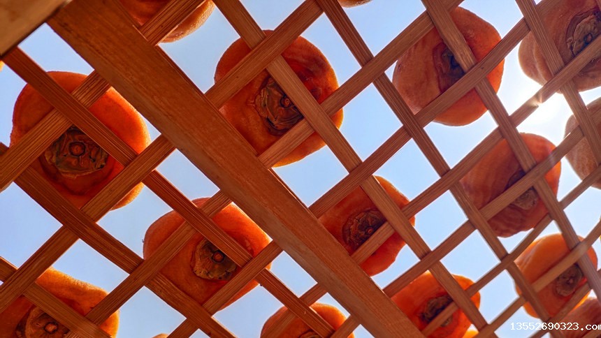 正在晾晒的柿饼。