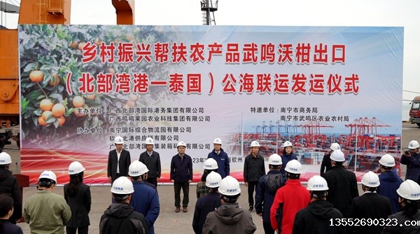 乡村振兴帮扶农产品广西武鸣沃柑出口(北部湾港-泰国)公海联运发运仪式现场。黄琨摄