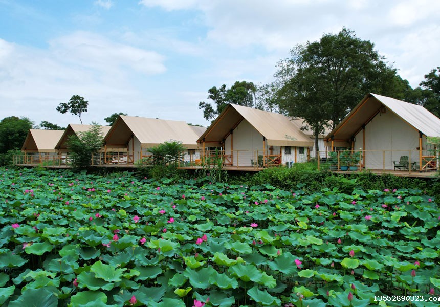 贵港荷塘里荷花绽放。刘志宁摄