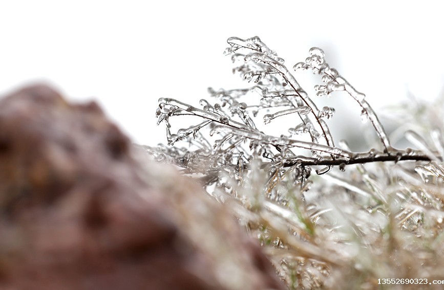 雾凇美景。阳海翔摄